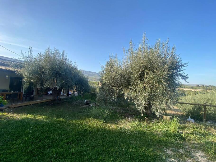 Casaruibella Villa Moratalla  Exterior photo